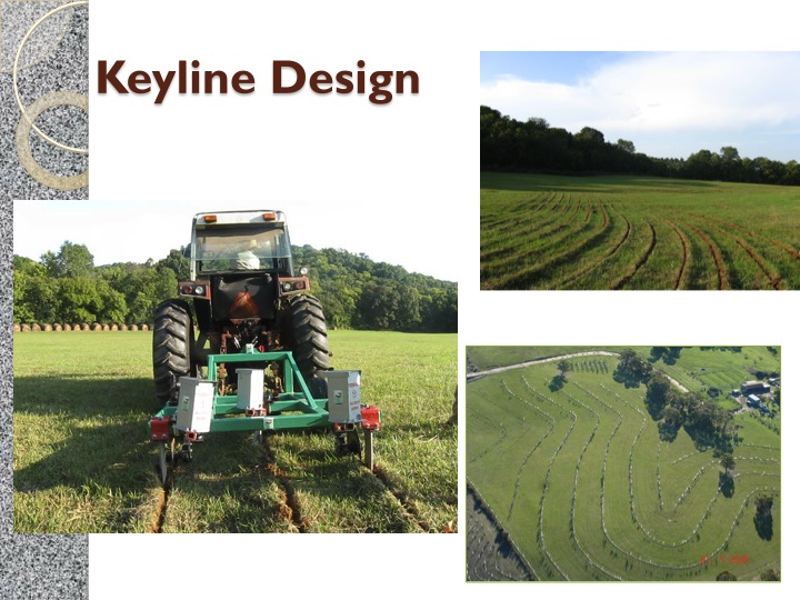 Each Important Function Supported by Many Different Elements ...