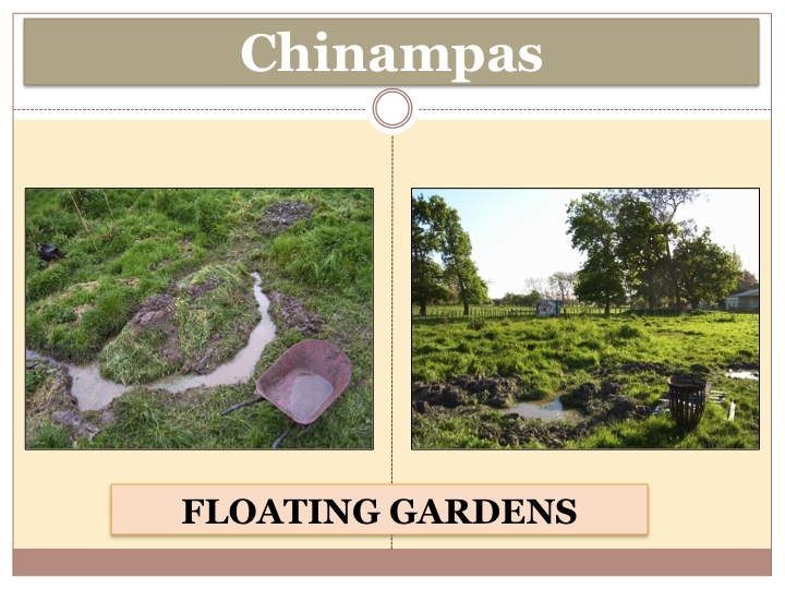 Sinuous - Permaculture Design Course Handbook