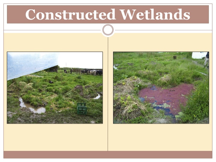 Sinuous - Permaculture Design Course Handbook