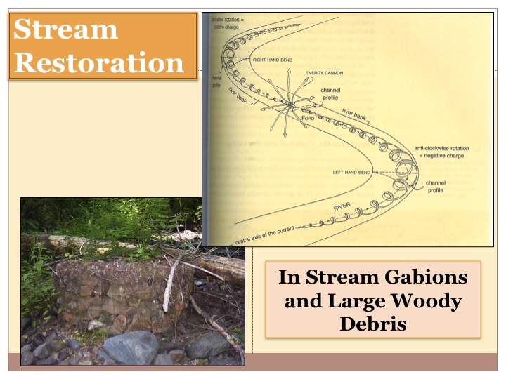 Restoring Natural Stream Hydrology - Permaculture Design Course Handbook