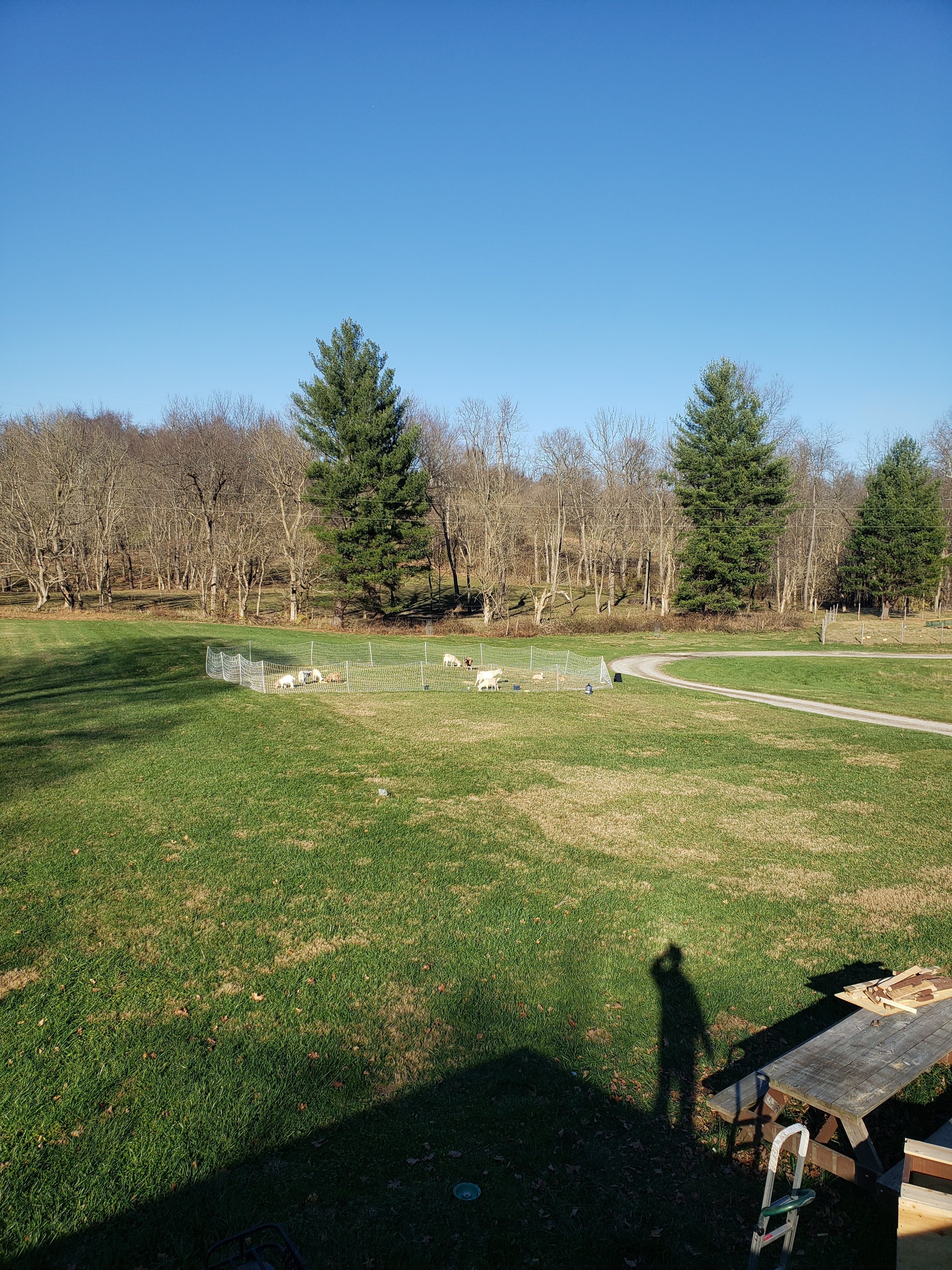 Buildin Soil on the Daily Video